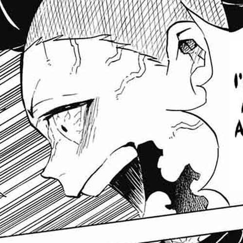 Demon Slayer Manga Chapter 109 (Won't Die) cover