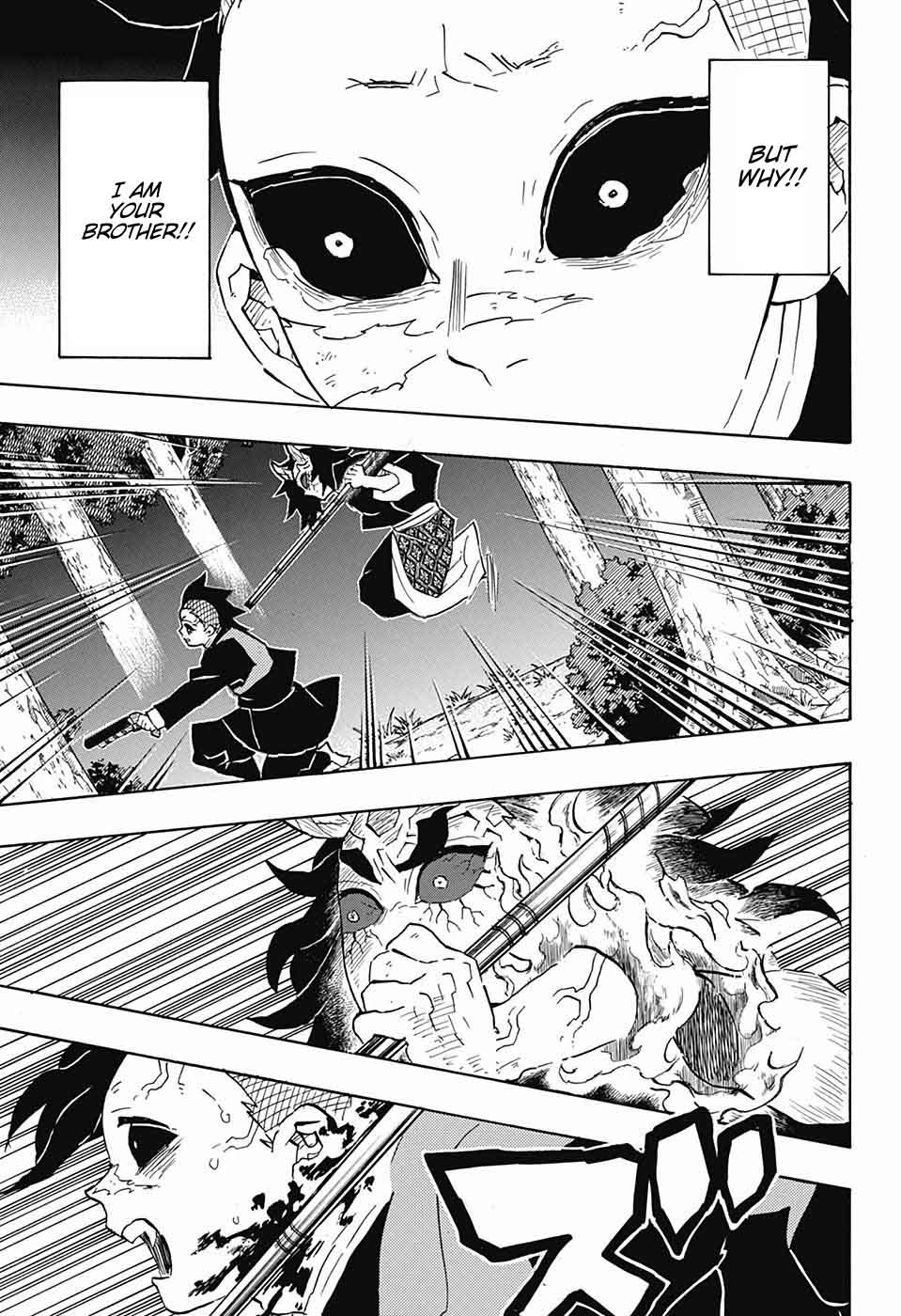 Demon Slayer Manga Chapter 115 page 13 - To Be a Hashira