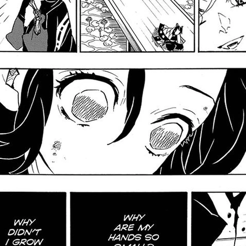 Demon Slayer Manga Chapter 142 (Insect Hashira, Shinobu Kocho) cover