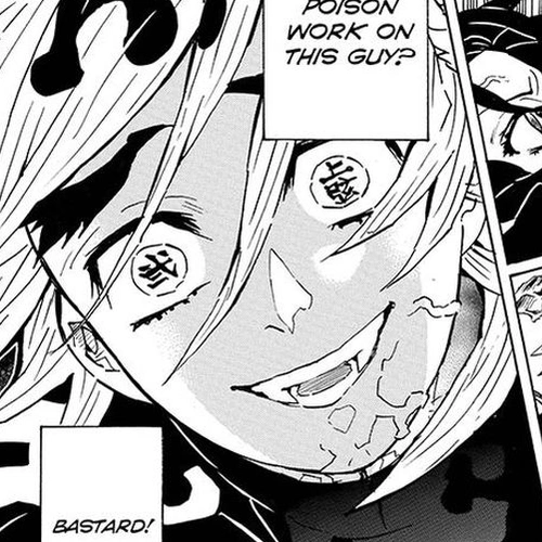 Demon Slayer Manga Chapter 143 (Wrath) cover