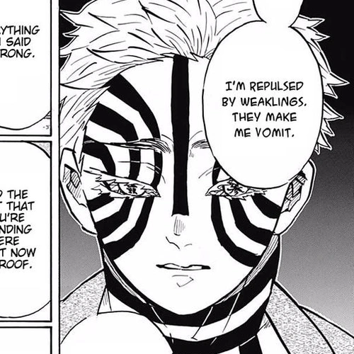 Demon Slayer Manga Chapter 148 (Clashing) cover