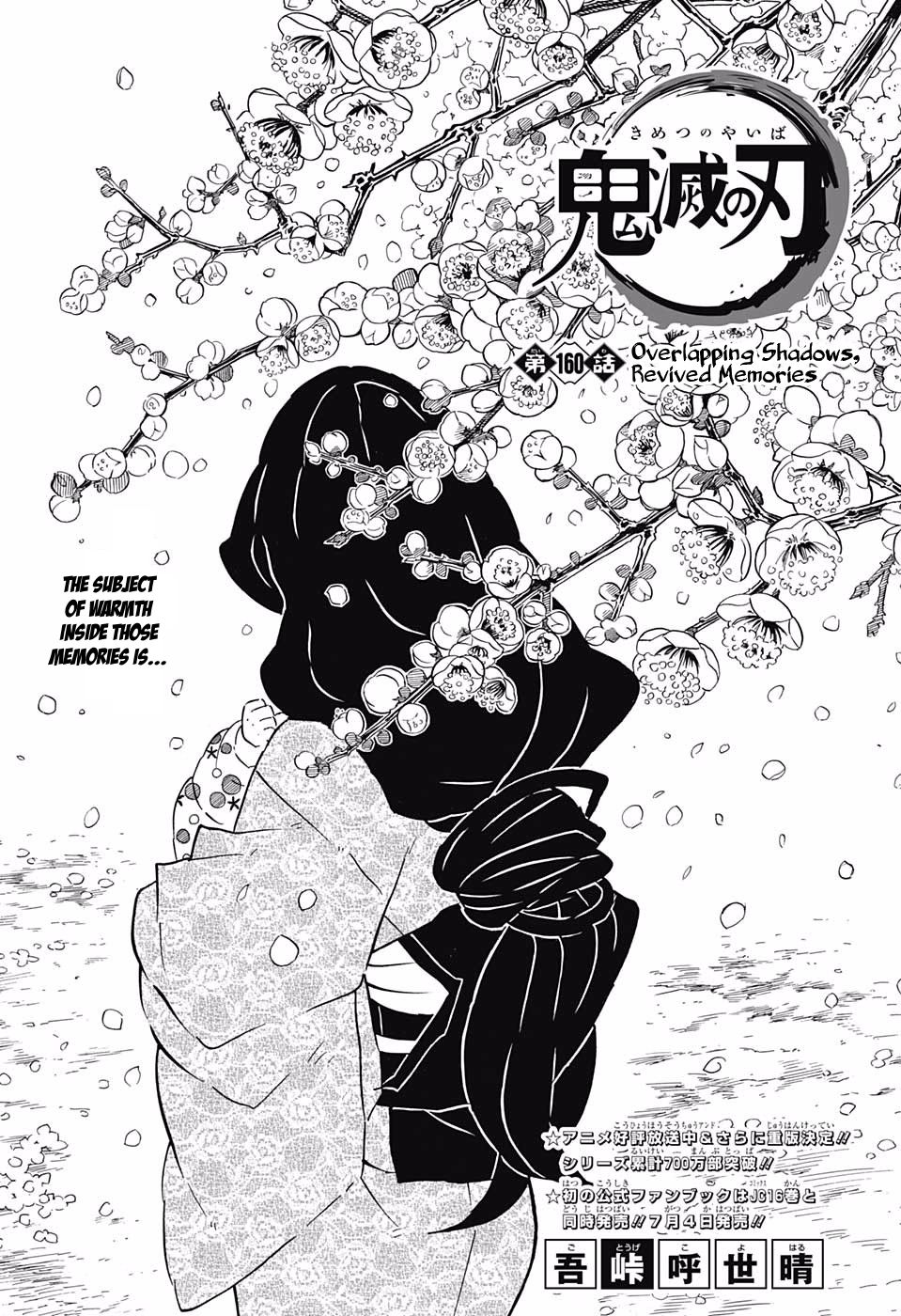 Demon Slayer Manga Chapter 160 page 1 - Similar Features, Returning Memories