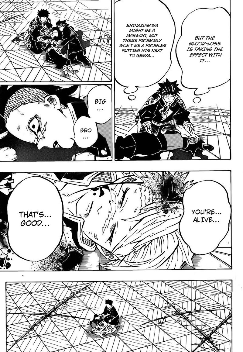 Demon Slayer Manga Chapter 179 page 5 - Feelings For Elder Brother, Feelings For Younger Brother