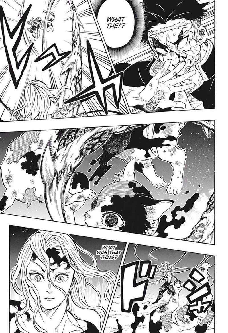 Demon Slayer Manga Chapter 189 page 12 - Reassuring Comrades