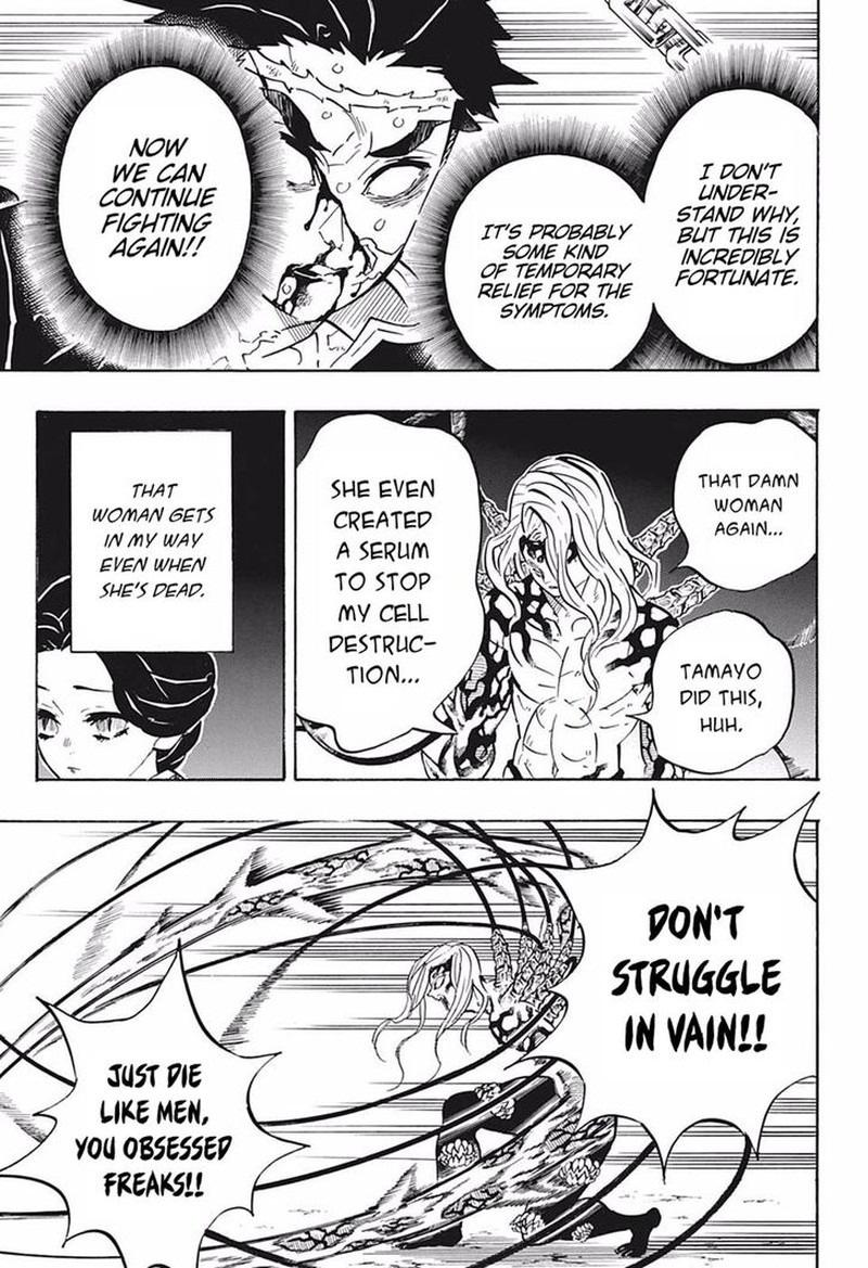 Demon Slayer Manga Chapter 189 page 14 - Reassuring Comrades