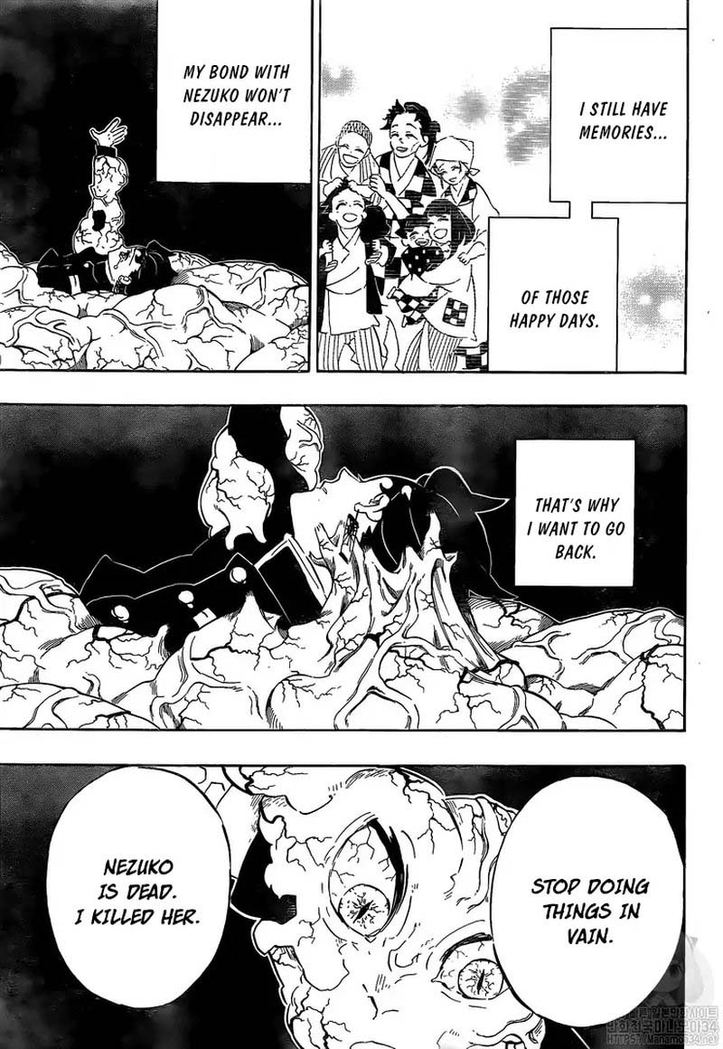 Demon Slayer Manga Chapter 203 page 3 - Voices of Encouragement