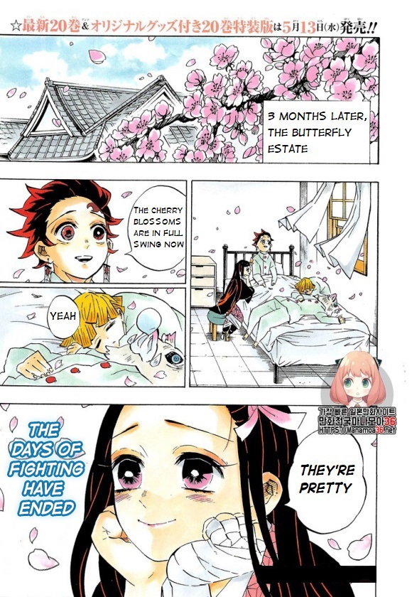 Demon Slayer Manga Chapter 204 page 1 - A World Without Demons
