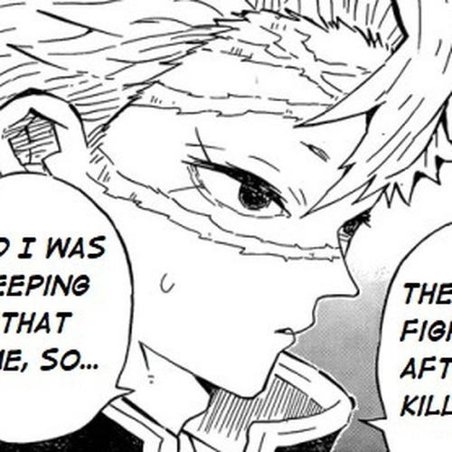 Demon Slayer Manga Chapter 204 (A World Without Demons) cover