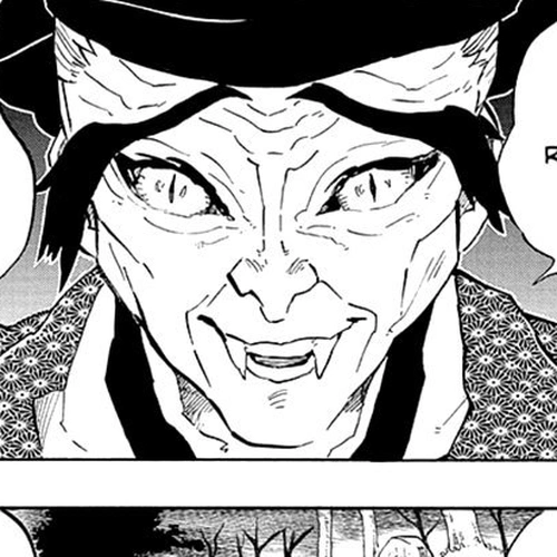 Demon Slayer Manga Chapter 205.5 (Special One Shot) cover