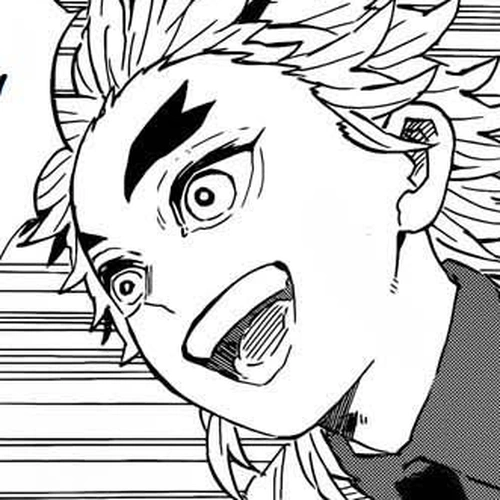 Demon Slayer Manga Chapter 205 (Life Shining Across the Years) cover