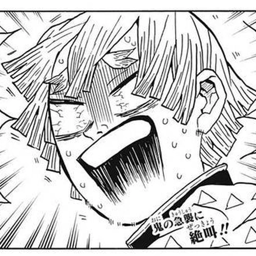 Demon Slayer Manga Chapter 23 (The Boar Bares Its Fangs, Zenitsu Sleeps) cover