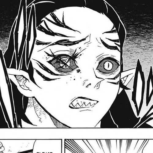 Demon Slayer Manga Chapter 24 (Former Member of the Twelve Kizuki) cover