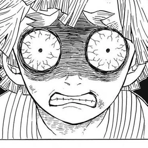 Demon Slayer Manga Chapter 27 (Inosuke Hashibira) cover