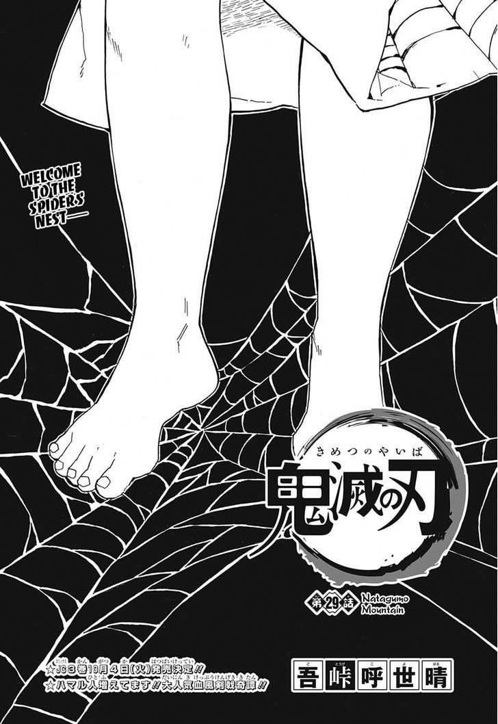 Demon Slayer Manga Chapter 29 page 1 - Mount Natagumo