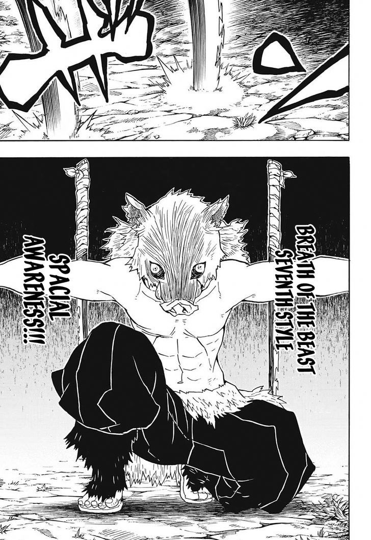 Demon Slayer Manga Chapter 29 page 17 - Mount Natagumo