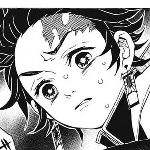 Demon Slayer Manga Chapter 29 (Mount Natagumo) cover