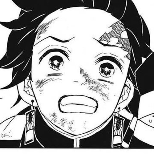 Demon Slayer Manga Chapter 48 (Butterfly Mansion) cover