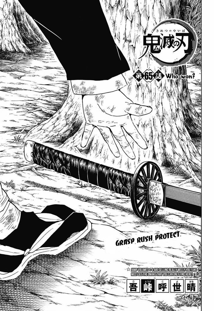 Demon Slayer Manga Chapter 65 page 1 - Whose Victory?