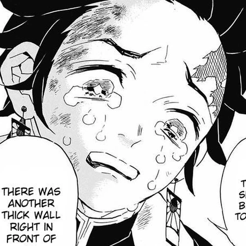 Demon Slayer Manga Chapter 66 (Scattering into Dawn) cover