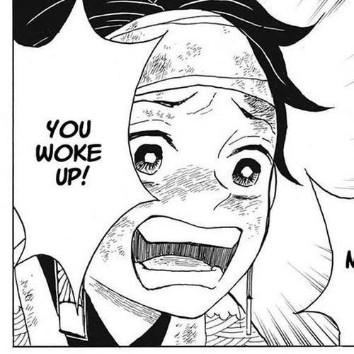 Demon Slayer Manga Chapter 9 (Welcome Back) cover